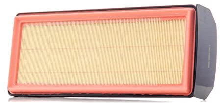 RIDEX 8A0615 Filtro aria motore Filtro aria ricircolo