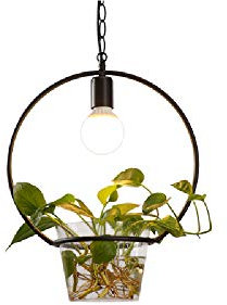 IXWQ Traditionnel E27 Nordic Environmental Protection Plant Lustre Personnalité Bar Plafonnier Simple Plante En Pot Suspension Lumière Restaurant Droplight Lampe Suspendue Luminaires