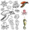 craspire Transparente Stempel Für Meeresschildkröten, Meeresorganismen, Tiere, Quallen, Seepferdchen, Seesterne, Kraken, Boote, Retro-Transparente Silikon-Stempelsiegel Für Journaling, Karten, DIY