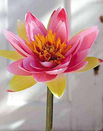 artplants.de Lotusblüte künstlich Sanjana, pink, 45cm, Ø16cm - Kunst Seerose/Textilpflanze Wasserrose