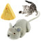DesignBox Remote Control Mouse Toy, Wireless Control Realistic Rat Scary RC Mice Toy For Cat Kitten Dog Pet Novelty Gift Trick Bugs, Kids Children Halloween Christmas Birthday Present (Lighter Grey)
