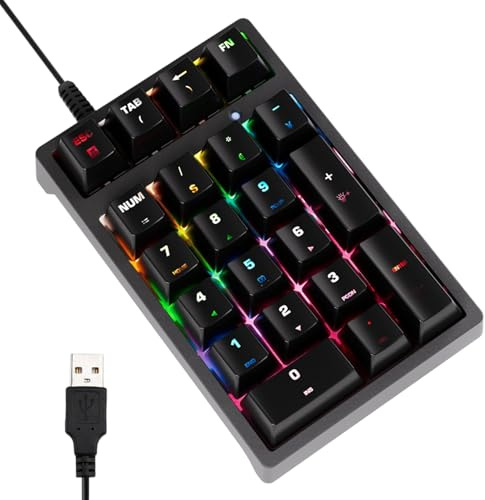 Computer Keypad - Numeric Input Pad | Compact Size Keyboard with Plug Play Use, Abs Key Module with Smooth Touch, Desk Category Input Device, Finance Coding Design Task for Office Users