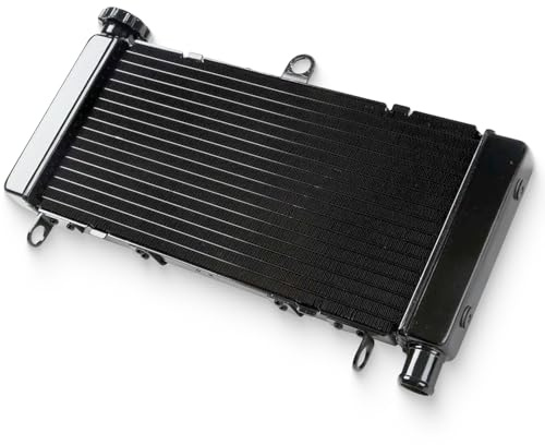 HOKUOTOLITE Radiatore Raffreddamento Motore Moto per Honda CB600F HORNET 600 1998-2006, Nero