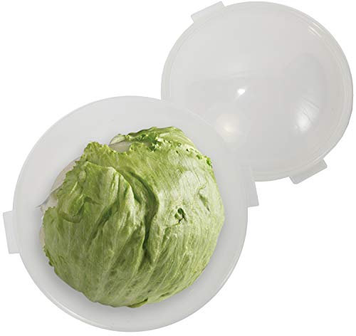 Trenton Gifts Lettuce And Vegatable Storage Keeper | 7 X 8