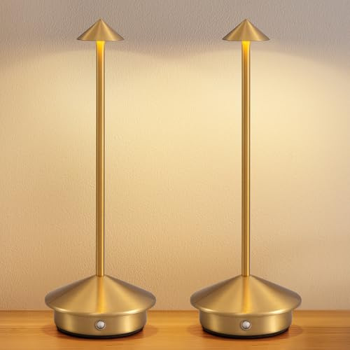 NEWSEE 2 Pack Mini Cordless Table Lamp, Portable LED Desk Lamp, 4000mAh Rechargeable Battery Powered Lighting, Stepless Dimming for Bedroom, Dining Room, Coffee Shop, Camping (Gold)