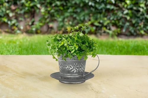 Healthy Living Direct Tin Teacup & Saucer Planter