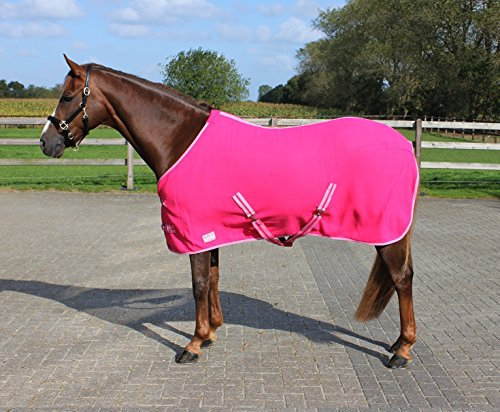 QHP Fleecedecke Color Abschwitzdecke Kreuzgurte Trendige Farben (85 cm, Fuchsia)