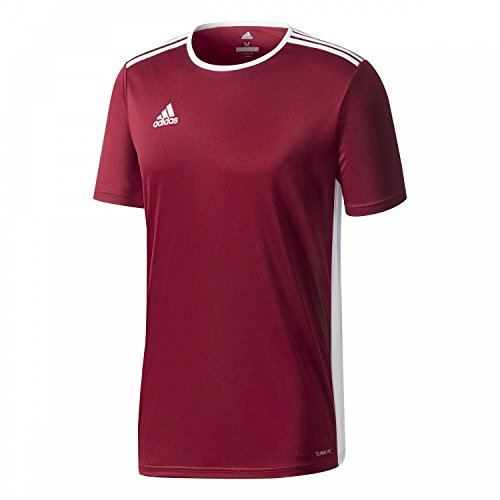 adidas Kinder Entrada18 Jersey Fußball-t-Shirt, Marrone_Bianco, 164cm