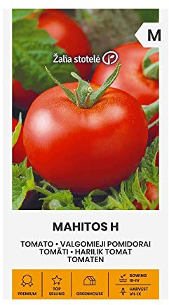Zalia stotele | TOMATEN MAHITOS H samen| Gemüsesamen | Pflanze samen | Tomatensamen | Gardensamen | 1 Pack
