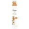 Dove Duschschaum - Arganöl - pflegt und nährt die Haut - 6er Pack (6 x 200 ml)