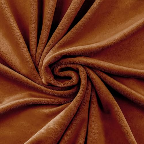 Textrend Stoff Minky - Plüschstoff - Meterware - 1 Meter 160 x 100 cm - Stoffe zum Nähen - Kinder - weich kuschelig - Glatt Mocha