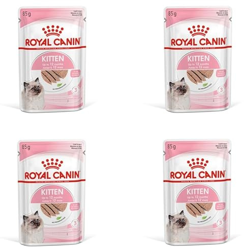 ROYAL CANIN Kitten Mousse in Soße | 4er Pack | 4 x 12 x 85 g | Nassfutter für Katzen | Speziell für Katzenwelpen in der zweiten Wachstumsphase bis zum 12. Monat | Weiche Textur
