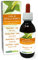 Weiß-Birke oder Hänge-Birke (Betula pendula, alba oder verrucosa) Alkoholfrei Knospen-Extrakt aus frische Lymphe Naturalma - Flüssig-Extrakt Tropfen 120 ml - Nahrungsergänzungsmittel - Veganer