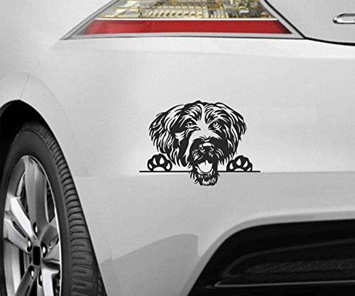 myrockshirt Peeking Dog Spähender Hund Deutsch Drahthaar ca.20cm Aufkleber,Sticker,Decal,Autoaufkleber,UV&Waschanlagenfest,Profi-Qualität,Wandtattoo