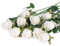 DuHouse 10pcs Artificial Silk Roses Flowers Single Long Stem Fake Rose Bouquet for Wedding Home Party Decoration Centerpieces(White)