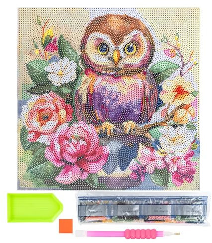 Ideen mit Herz Diamond-Painting-Motivleinwand auf Keilrahmen | 30 cm x 30 cm | Set inkl. Werkzeug (Eule mit Blumen)
