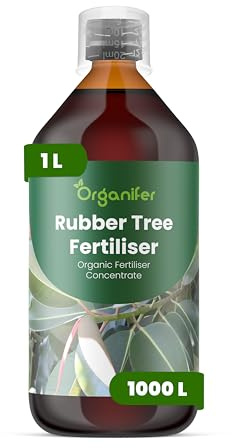 Fertilizzante Liquido Per Albero Di Gomma 1L – Concime Organico Per Foglie Grandi E Verdi – Rafforza Radici E Crescita Sana – Organifer