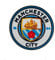 Club Licensed Man City Crest 3D Fridge Magnet (6cm Approx)
