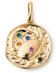 SINGULARU - Sternzeichen Charm. Messing mit 18 Kt Vergoldeter Beschichtung und Zirkonia. Schmuck für Damen.