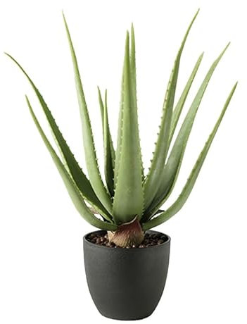 MichaelNoll Pianta artificiale di aloe vera, pianta artificiale, decorazione in vaso nero, molto realistica, verde (45 cm - MN-KP-2218)