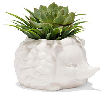 KIKKERLAND – Prickles the Hedgehog Planter - Cute Ceramic Animal Succulent Plant Pot - 7.8 cm x 14.8 cm x 13 cm