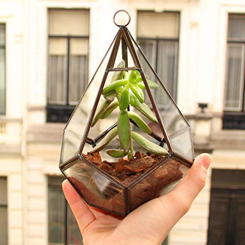 Biscay Home Vase Moderne géométrique pour Petite Plantes, Terrarium Micro Terre - décoration de Maison à Poser ou à Suspendre