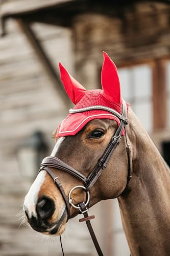 Kentucky Horsewear - Wellington Fliegenohren - Samt - Rot - Cob