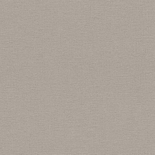 Rasch Tapeten Vliestapete (universell) Grau 10,05 m x 0,53 m Salsa 452037