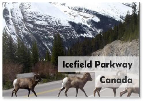 Kühlschrankmagnet Rams Crossing Icefield Parkway, Kanada