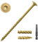 Dayalo 50 Stück Tellerkopfschrauben 6,3 x 150 mm, Holzschrauben Torx, Holzbauschrauben, Spanplattenschrauben, Konstruktionsschrauben Torx Schrauben mit Doppelspiralgewinde, mit Torx Bit