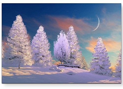 Paul Sinus Art Leinwandbilder | Bilder Leinwand 120x80cm märchenhafte Winterlandschaft