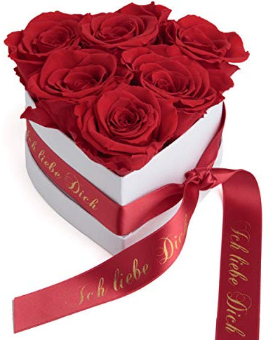 ROSEMARIE SCHULZ Heidelberg Geschenke für Sie Valentinstag Infinity Herz Rosenbox 6 rote Rosen konserviert - Ich Liebe Dich Geschenk für Frauen (Rot, Medium)