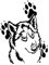 Asudaro 2St Universal Lustige Persönlichkeit Simulation Auto Aufkleber Husky Aufkleber Creative Sticker Dog Wall Stickers 3D Hund Abzeichen Emblem Aufkleber für Autos/Möbel/Fenster,13x 9,6cm,Schwarz