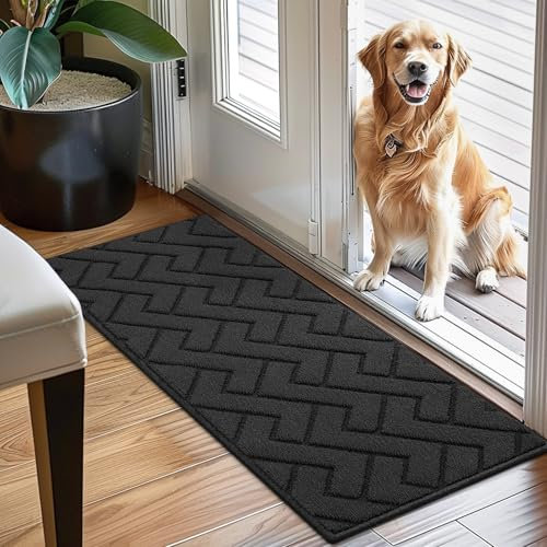 Biscpro Innen Fußmatte 50 x 120 cm, Schmutzfangmatte rutschfest Fussmatte Innen Waschbar Eingangsteppich Innen Fussmatten Haustür dünn Innen für Eingang, Flur, Garten, Innen, Haustier