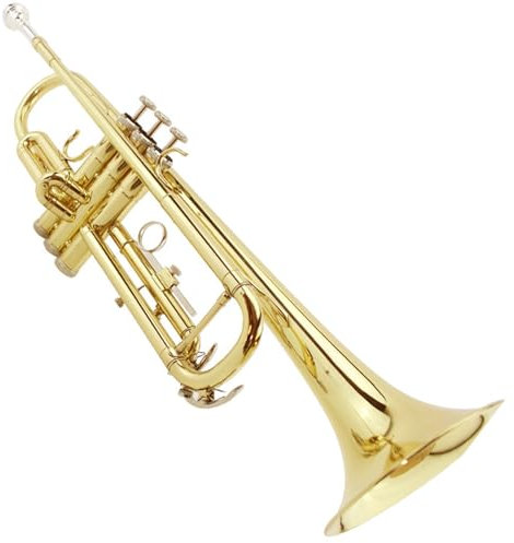 Trompete B-Trompeteninstrument Einsteiger-Trompeteninstrument Für Einsteiger