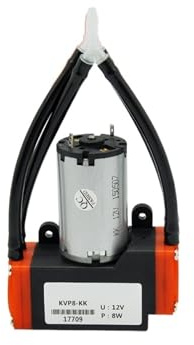ZKLGS Mini Pompe à air/Vide à diaphragme électrique Micro avec Moteur à Brosse et Double tête(KJ)
