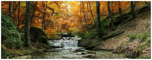 Wallario Küchenrückwand selbstklebend 115 x 50 cm, Motiv: Kleiner Bach über Steine im Herbstwald | Spritzschutz abwischbar & pflegeleicht