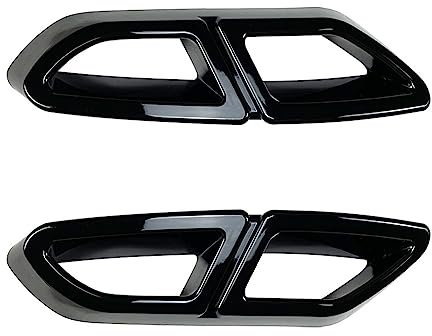Auto Auspuff Endrohr Für Passat B8 Auto-Hinterauspuffrohr-Schutzabdeckungsverkleidung Auspuffblende Blenden (Color : Stil 2)