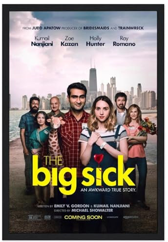 V BY N The Big Sick (4) Filmposter Vintage Art Cover Raumdekor Ästhetische Schlafzimmer Dekor Leinwand Poster für Schlafzimmer 40 x 60 cm Stil