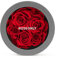 roseonly. Ewige Rose in runden Box, Echte Rosenbox, Konservierte Rosen, Infinity Rote Rose, Geschenke für Frauen, Freundin zum Geburtstag, Valentinstag, Weihnacht, Muttertag, Jubiläum