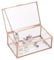 TOLIDA Pequeña caja vintage con tapa de cristal, exhibición rectangular de joyería para anillos, pulseras, collares, almacenamiento de mesa (oro rosa)