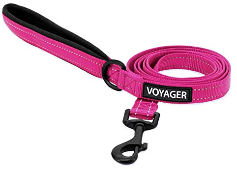 Best Pet Supplies Voyager Reflective Dog Leash or Collar with Neoprene Handle, for Small, Medium, and Large Breed Puppies, Cute and Heavy Duty for Walking, Running and Training - Fuchsia (Leash), S