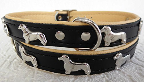 *DACKEL* Hunde Halsband, Leder, Halsumfang 28-32cm; 30-36cm; 36-41cm, SCHWARZ -Beige NEU (Halsumfang 30-36cm/40cm/20mm)