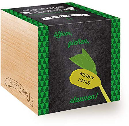 Feel Green Message Cube, Holzwürfel Mit Lasergravierter GlücksbohneMerry Xmas, Nachhaltige Geschenkidee, 100% Eco Friendly, Anzuchtset, Made in Austria