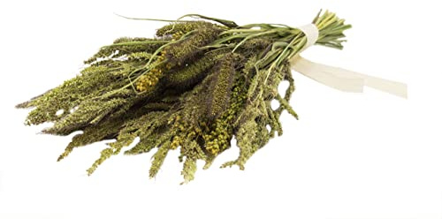 JR FARM Birds Hirsen-Potpourri 50 g