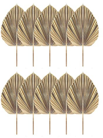 Swagell Lot de 10 feuilles de palmier séchées naturelles pour décoration de cuisine, mariage