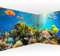 murando Eckfototapete Unterwasserwelt 550x250 cm Vlies Tapeten Wandtapete XXL Moderne Fototapete Wanddeko Design Wand Dekoration Wohnzimmer Schlafzimmer Büro Flur Ozean Fische Aquarium b-A-0002-a-b