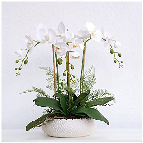 Fleurs artificielles et vase orchidée papillon artificielle en pot, grande orchidée réaliste pour salon, chambre d'hôtel, salle d'exposition, décoration de mariage pour centre de table de salon (M (mu