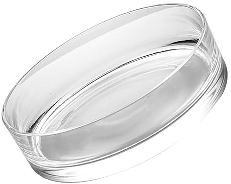 BESPORTBLE Glasblumentöpfe Einzigartige Dekorative Vase Für Pflanzen Terrarium Glasblumenbehälter Für Zuhause