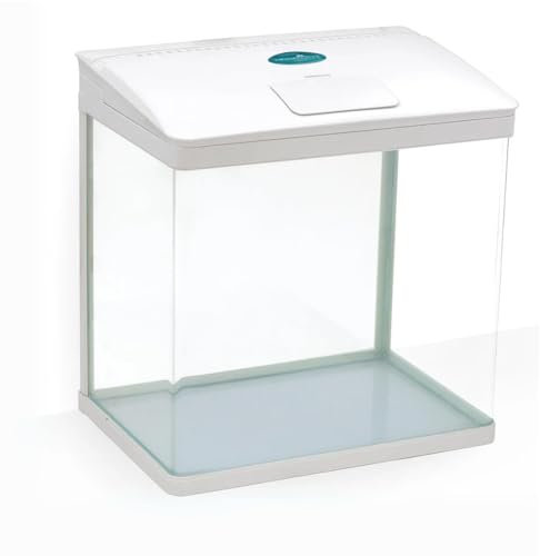 AllPondSolutions Nano Fish Tank with Filter and Light - Rectangular Aquarium Tank with LED Light, Tray Filter System, Curved Glass Front, 90° Tilting Hood - Cold Water Tropical Fish Tank - 29L, White